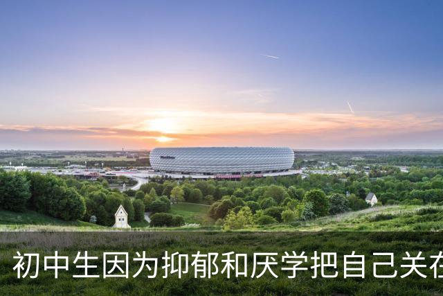 初中生因为抑郁和厌学把自己关在房里,妈妈急疯了,咬着牙让他去网吧玩游戏。他抑郁好了,读完大专,如今成家立业